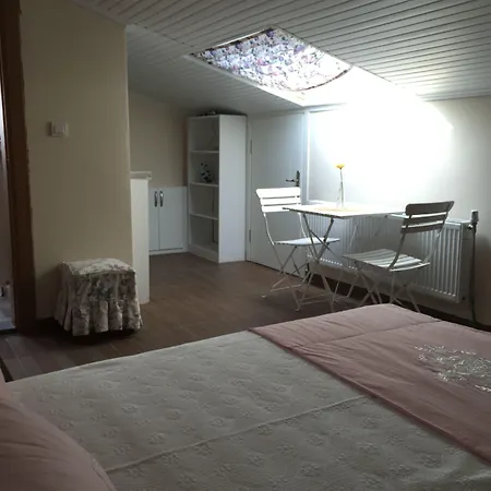 Ede 4* Geyikli
