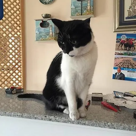 Aparthotel Ede Geyikli