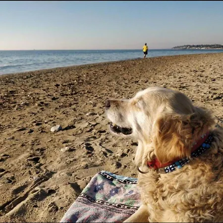 Ede Aparthotel Geyikli