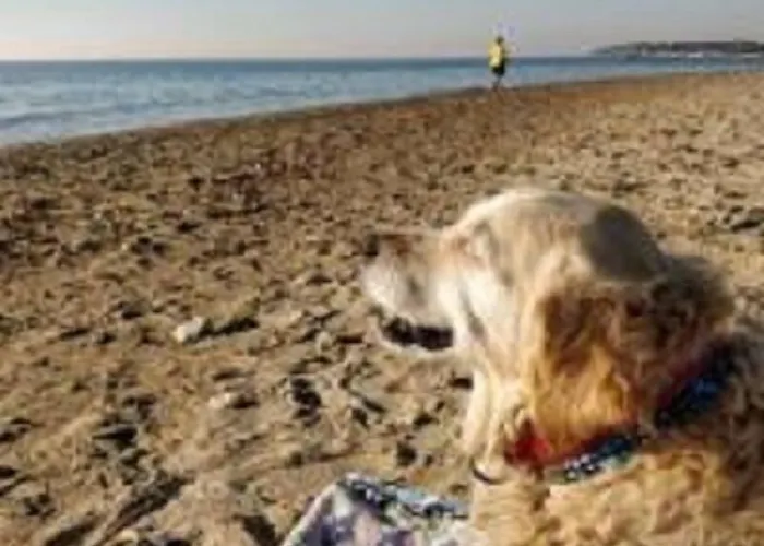 아파트호텔 Ede 4*