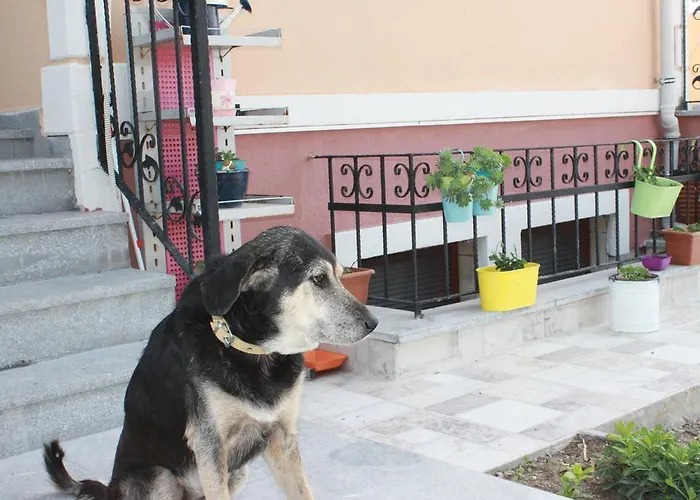 Ede 아파트호텔 4*