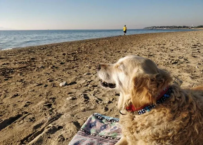 Ede 아파트호텔 Geyikli